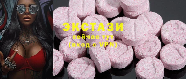 ECSTASY Вяземский