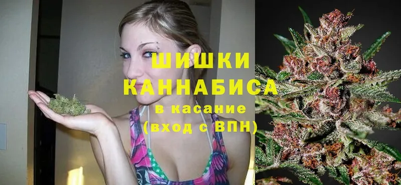 мориарти как зайти  blacksprut маркетплейс  Стерлитамак  как найти закладки  Конопля OG Kush 